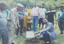 ग्राम पंचायत सपरुन में विशेष वृक्षारोपण कार्यक्रम आयोजित