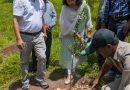 ग्राम पंचायत बोहली में पौधारोपण तथा जागरूकता अभियान आयोजित