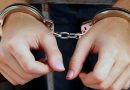 सोलन पुलिस की बड़ी सफलता 12 घंटे के अंदर चोरी का आरोपी किया गिरफ्तार